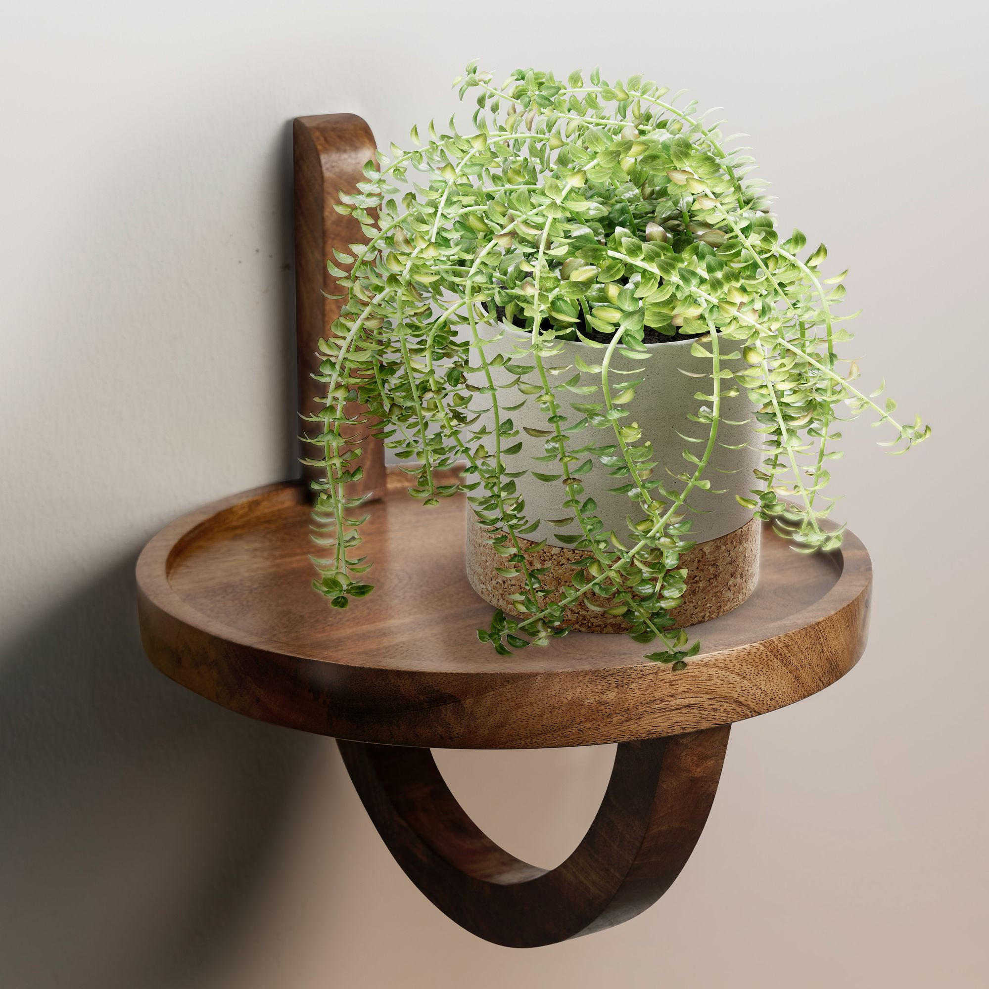 WANDREGAL Mango Massivholz Modern Stil 30x33x30 cm Rund - Braun, Holz (30/33/30cm) - KADIMA DESIGN