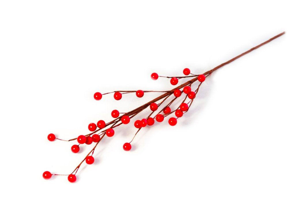 DEKOZWEIG mit roten Beeren 63 cm - Rot/Braun, Kunststoff (5/5/63cm) - LAALU