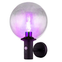 LED AUSSENLEUCHTE Edelstahl Anthrazit - Anthrazit, Glas (26.5/25/37cm) - Globo Lighting