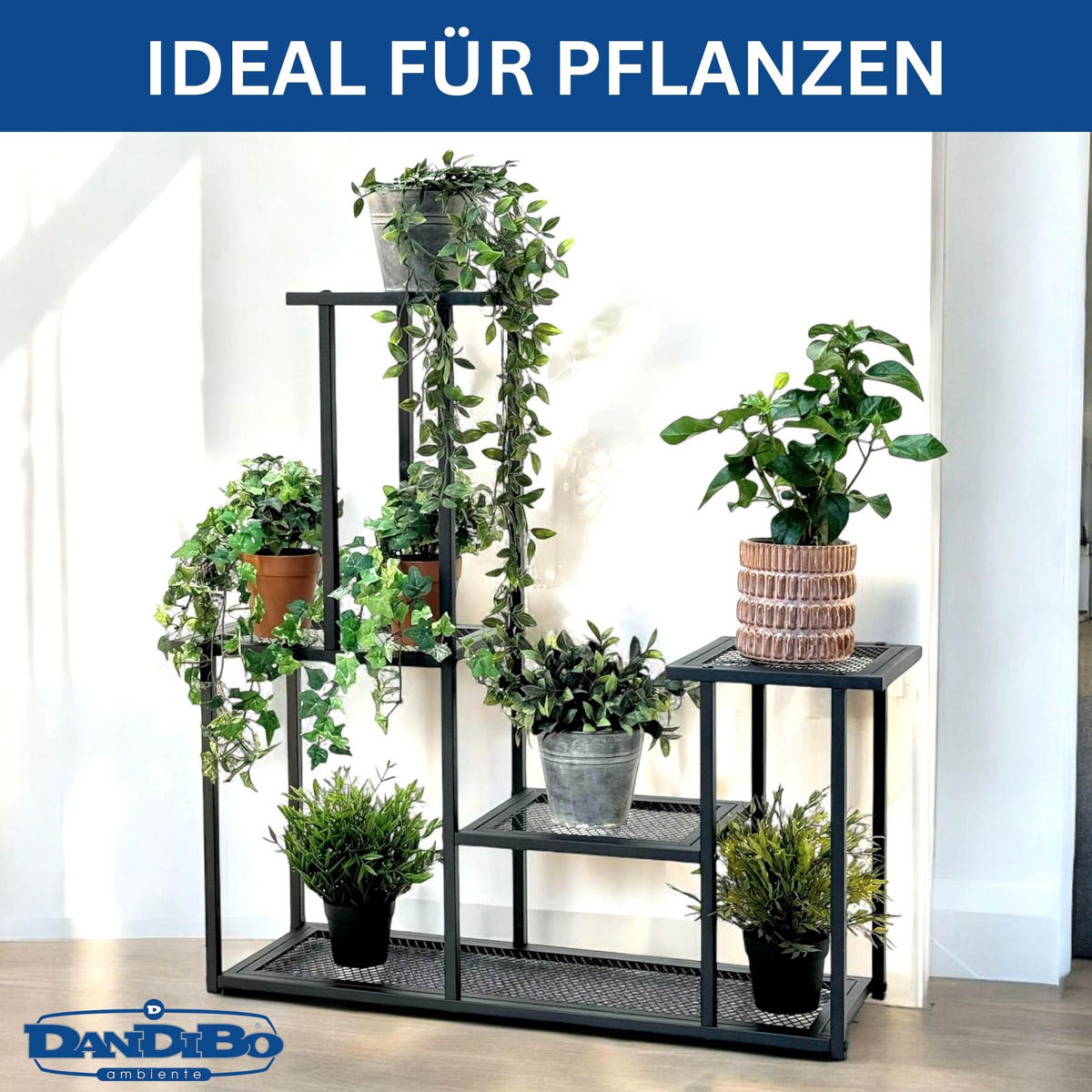 DANDIBO Blumenregal indoor Metall Schwarz 4 Ebenen 96579 Blumentreppe Modern Pflanzentreppe Design Pflanzenregal - Schwarz, Metall (77/82/25cm) - DanDiBo