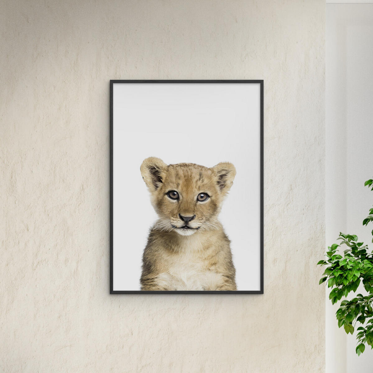 POSTER mit Rahmen Kathrin Pienaar - Baby Lion - Schwarz/Weiß, Holz/Papier (30/40cm) - Poster&Frame