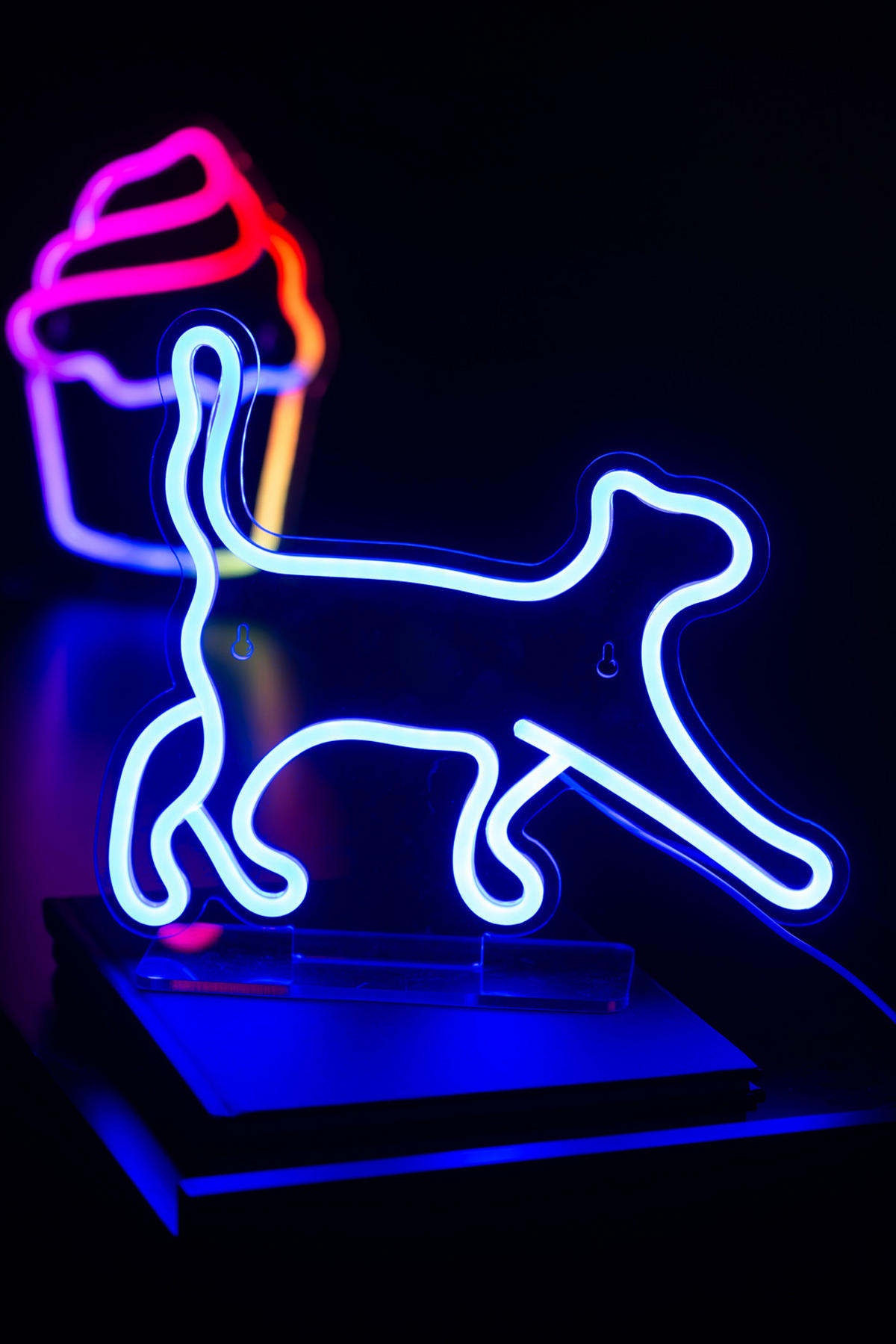 NEON Light Walking Cat 2/27/31 cm - Blau, Kunststoff (2/27/31cm) - Leitmotiv