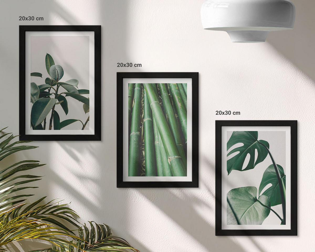 BILDER SET 3er Set - 20x30 cm Schwarzer Rahmen - Bambusstängel und Monstera-Blätter - Schwarz, Kunststoff (20/30cm) - TULUP