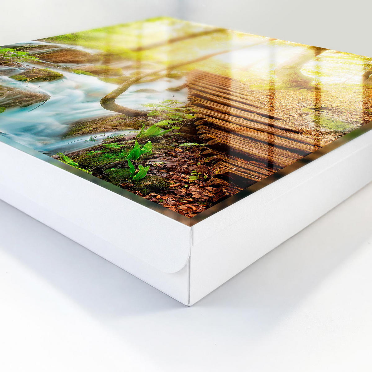 SCHLÜSSELBOX Weiß 30x30 cm – Türöffnung nach rechts - Eine Waldecke - Grün, Metall (30/30/5cm) - TULUP