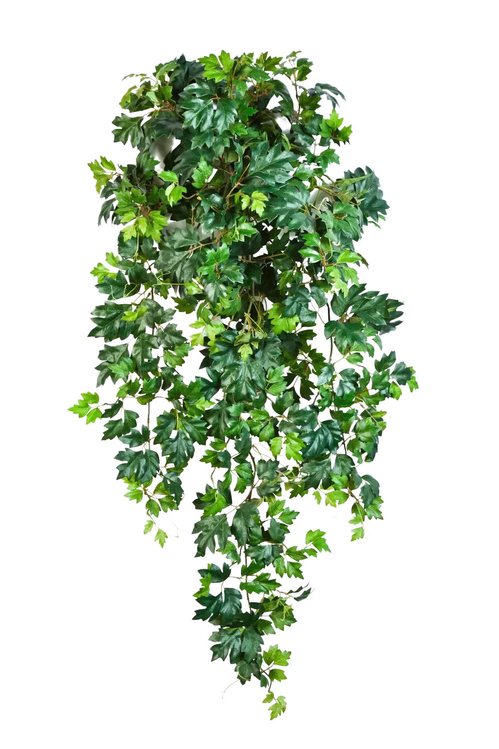 KUNSTPFLANZE Künstliche Hänge-Weinrebe - Artur 90 cm - Grün, Kunststoff (90cm) - aplanta