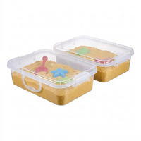 SANDLÅDA Transparent 2-pack med lock - Transparent, Plast (25/38/8cm) - Relaxdays