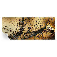 FOTOTAPETE 250x104 cm - Zarte Tropfen - Weiß, Textil (250/104cm) - Wallfluent
