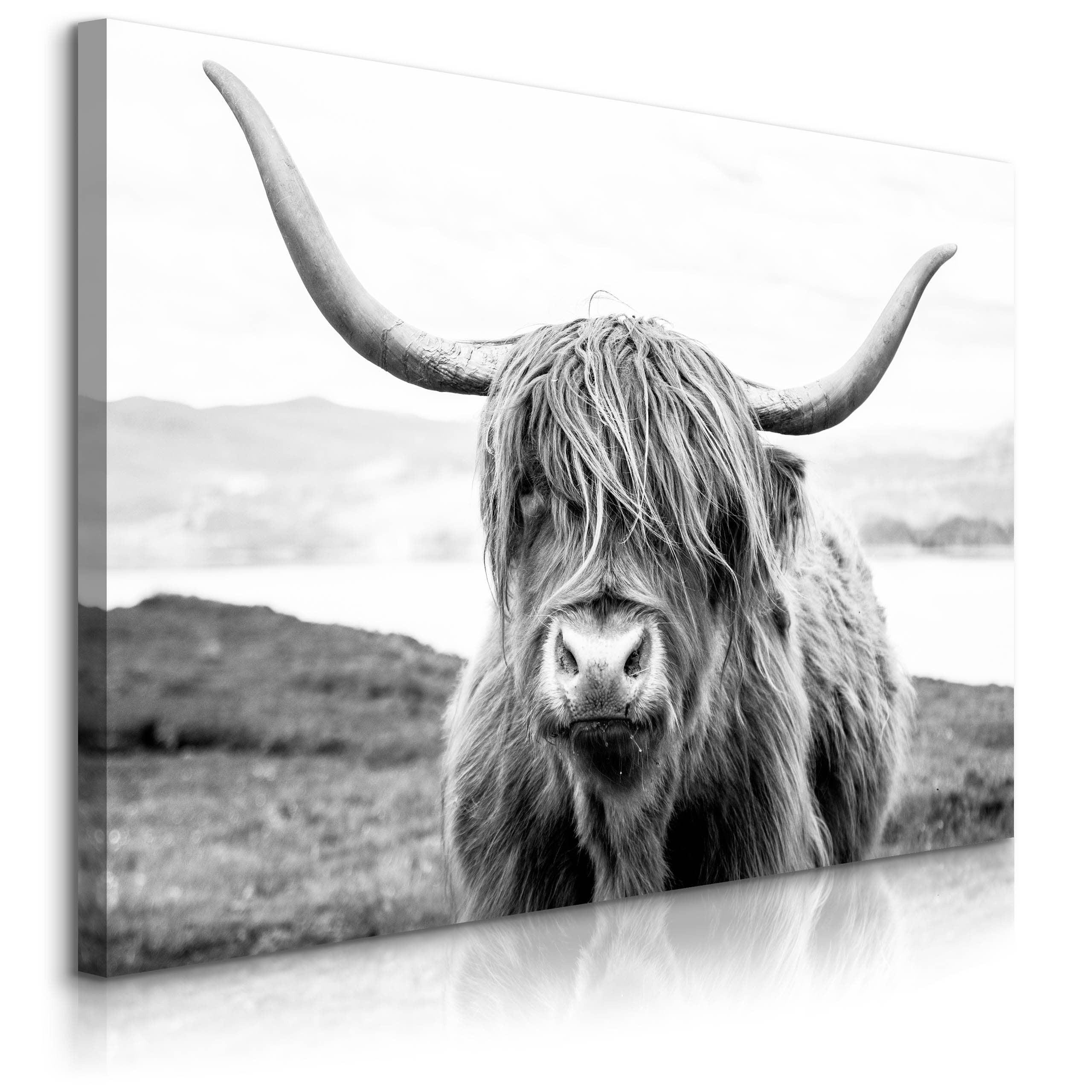LEINWANDBILD Schottische Kuh Tier Natur Landschaft 3D 100/70 cm - Schwarz/Weiß, Textil (100/70cm) - Muralo