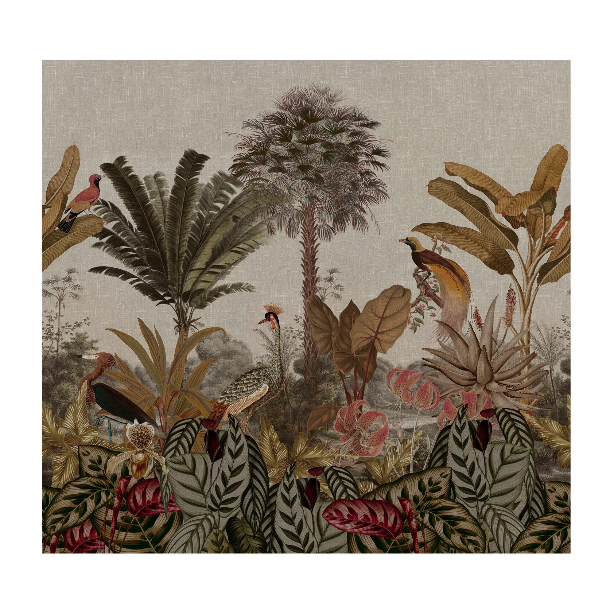 FOTOTAPETE - Dschungel von Borneo - Grün, Papier/Kunststoff (300/280cm) - Art for the Home