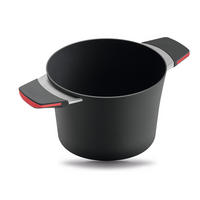 KOCHTOPF INDUKTION ⌀20cm - ROT - Rot, Kunststoff/Metall (20cm) - Gastrolux