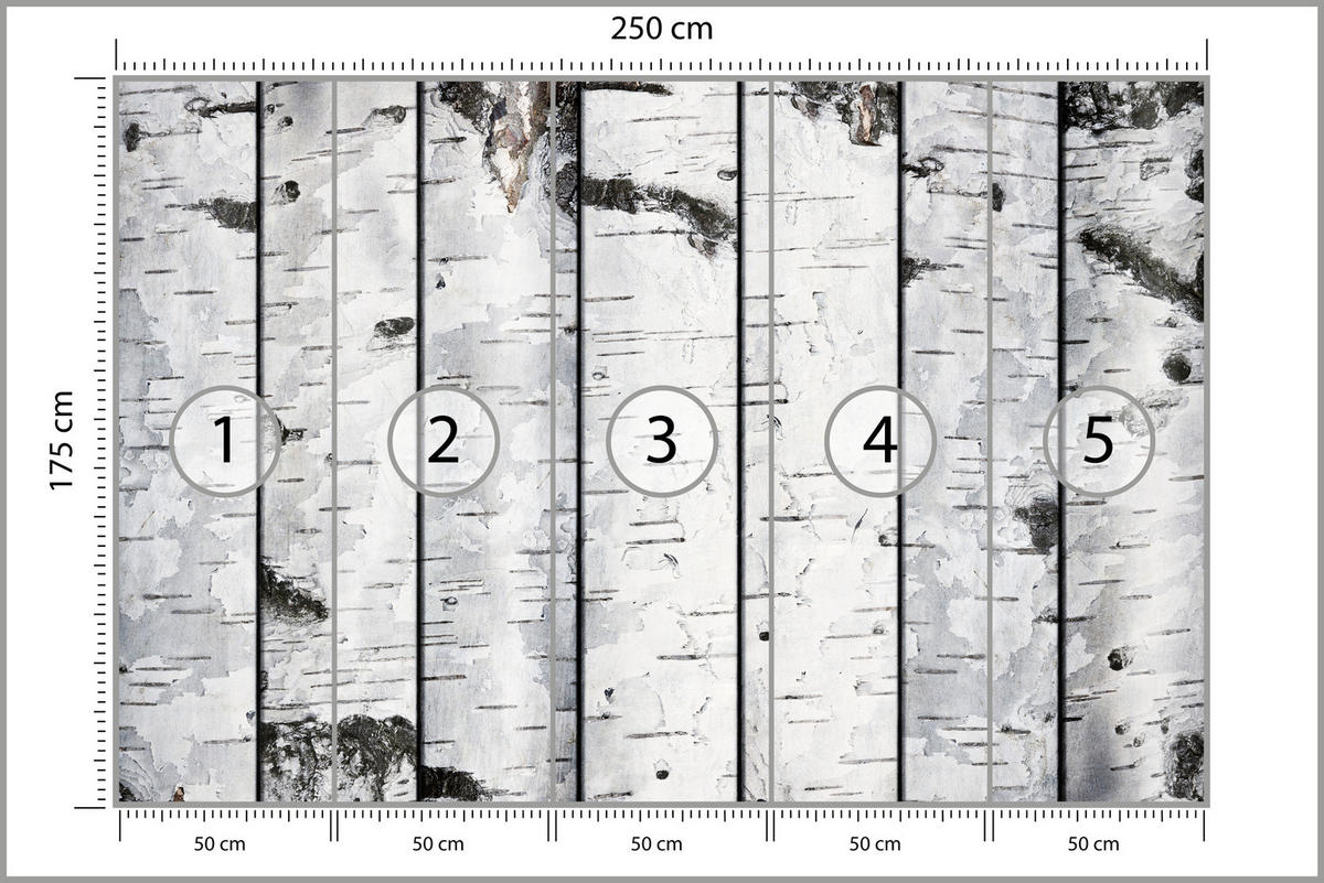 FOTOTAPETA Pre Spálňu Imitácia Brezovej Kôry Brezy Biela Strom 250 x 175 cm - čierna/sivá, papier (250/175cm) - Muralo