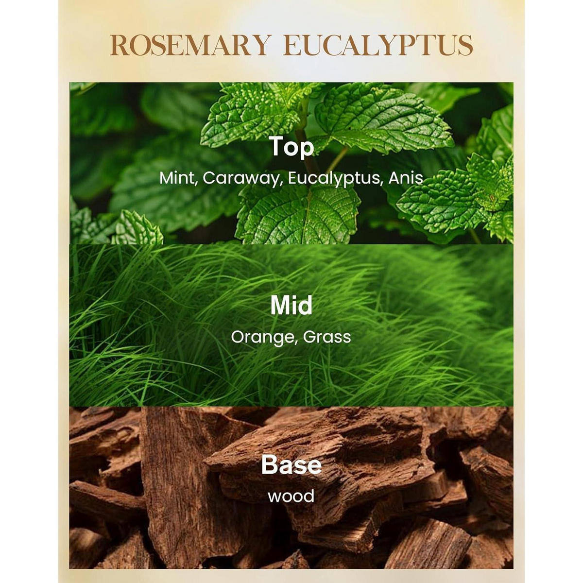 DUFTKERZE Rosmarin Eukalyptus 3-Docht 990g 150H Brenndauer - Grün, Paraffin (16cm)