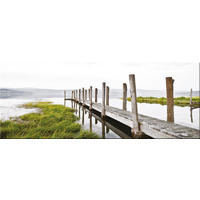 GLASBILD 80x30 cm Steg Grün Grau - Beige, Glas (80/30cm) - artissimo