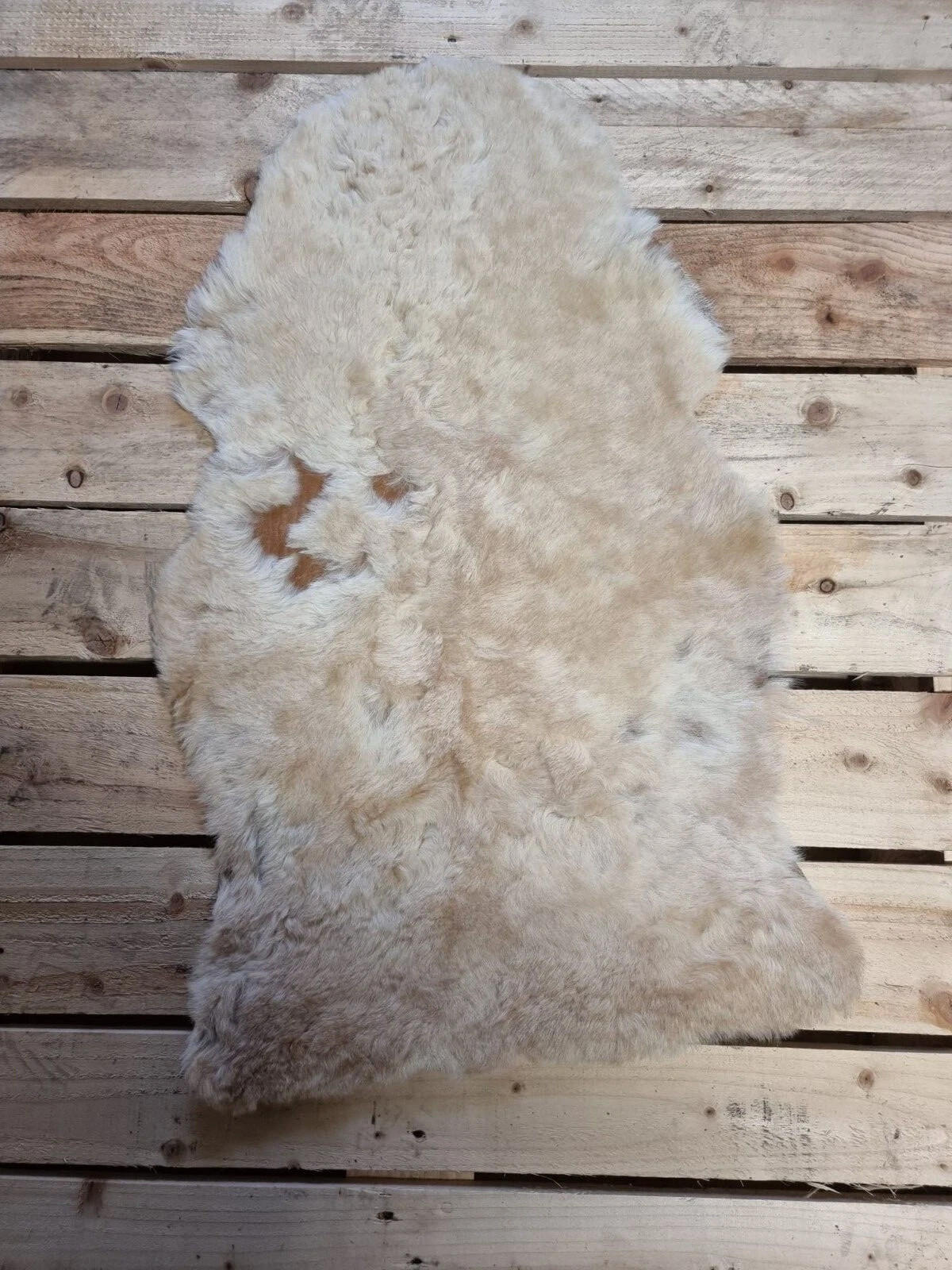 SCHAFFELL Lammfell 2. Wahl Hell geschoren ca. 95 cm - Beige/Creme, Fell (50/95cm) - Provellus