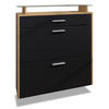 SCHUHSCHRANK Malea Schwarz matt - Schwarz, Holzwerkstoff (89/95.5/23cm) - Vladon
