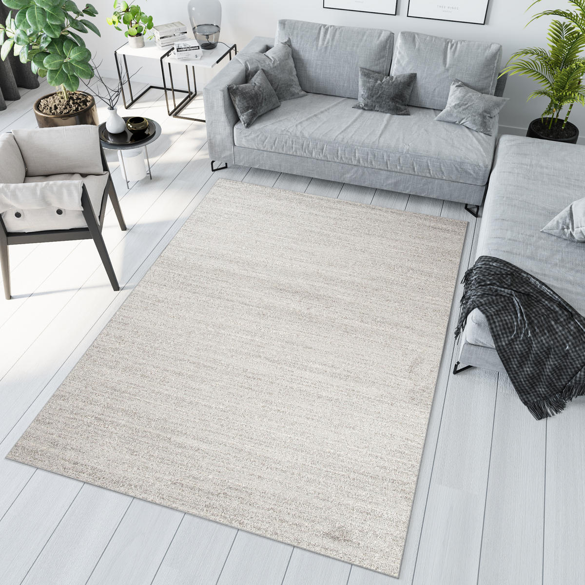 TEPPICH SARI Hellgrau 240/330 cm - Hellgrau, Textil (240/330cm) - Tapiso