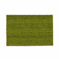 KOKOSMATTE MIT NATURFASERN KEIRA - Grün, Textil (55/85cm) - Astra
