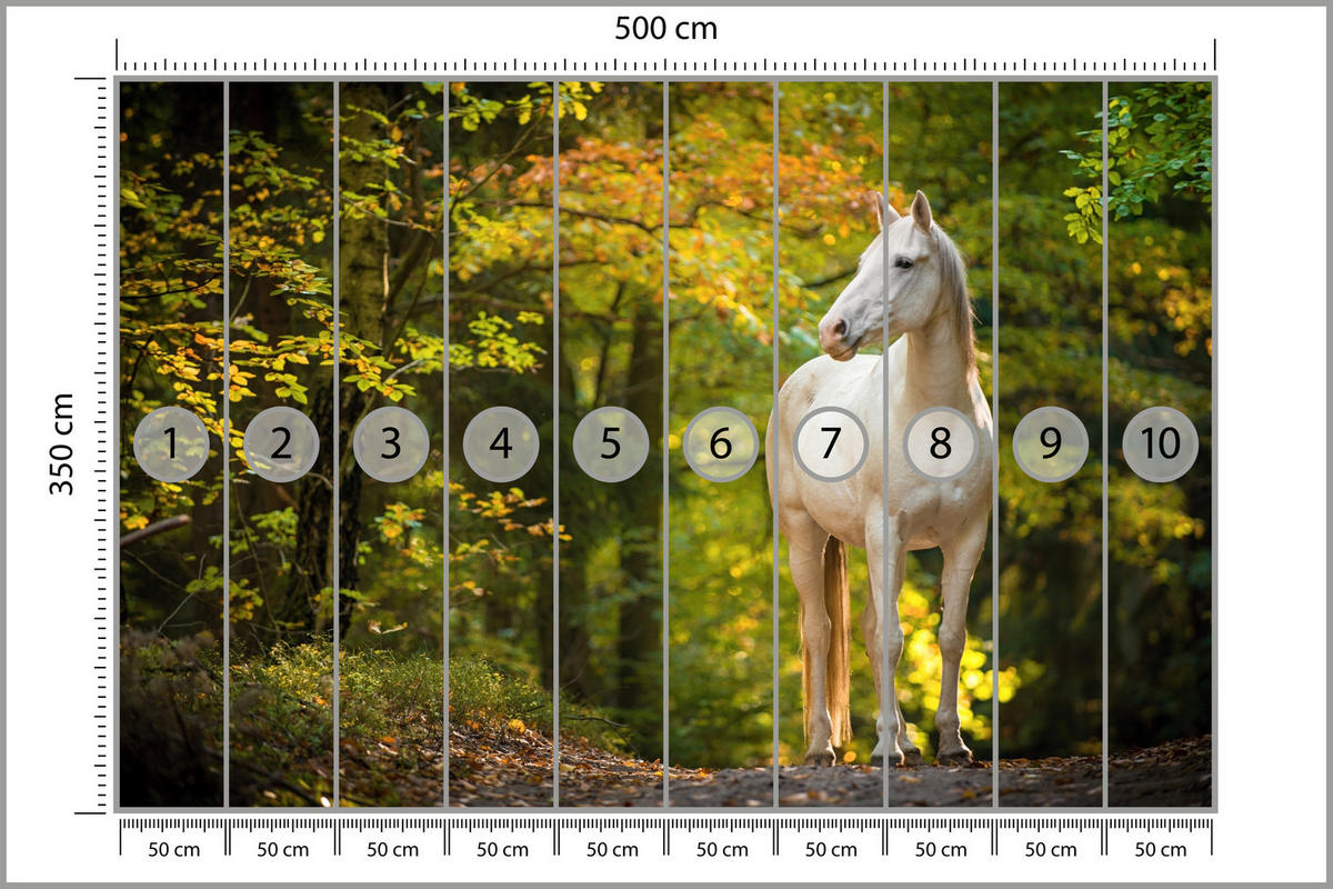 FOTOTAPETE für Schlafzimmer Weißes Pferd Wald Bäume Blätter 500x350 - Gelb/Beige, Papier (500/350cm) - Muralo