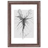 BILDERRAHMEN Ilo Holzrahmen 10x15 cm, D'BRAUN, Blatt - Dunkelbraun, Holzwerkstoff (12/17/2cm) - walther design