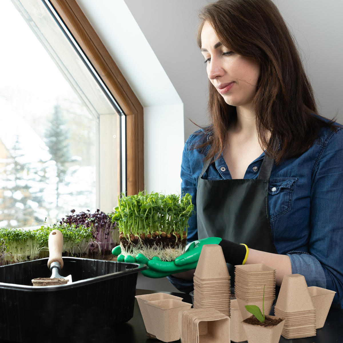 80XANZUCHTTÖPFE - Hellbraun, Papier (8/8/8cm) - Relaxdays