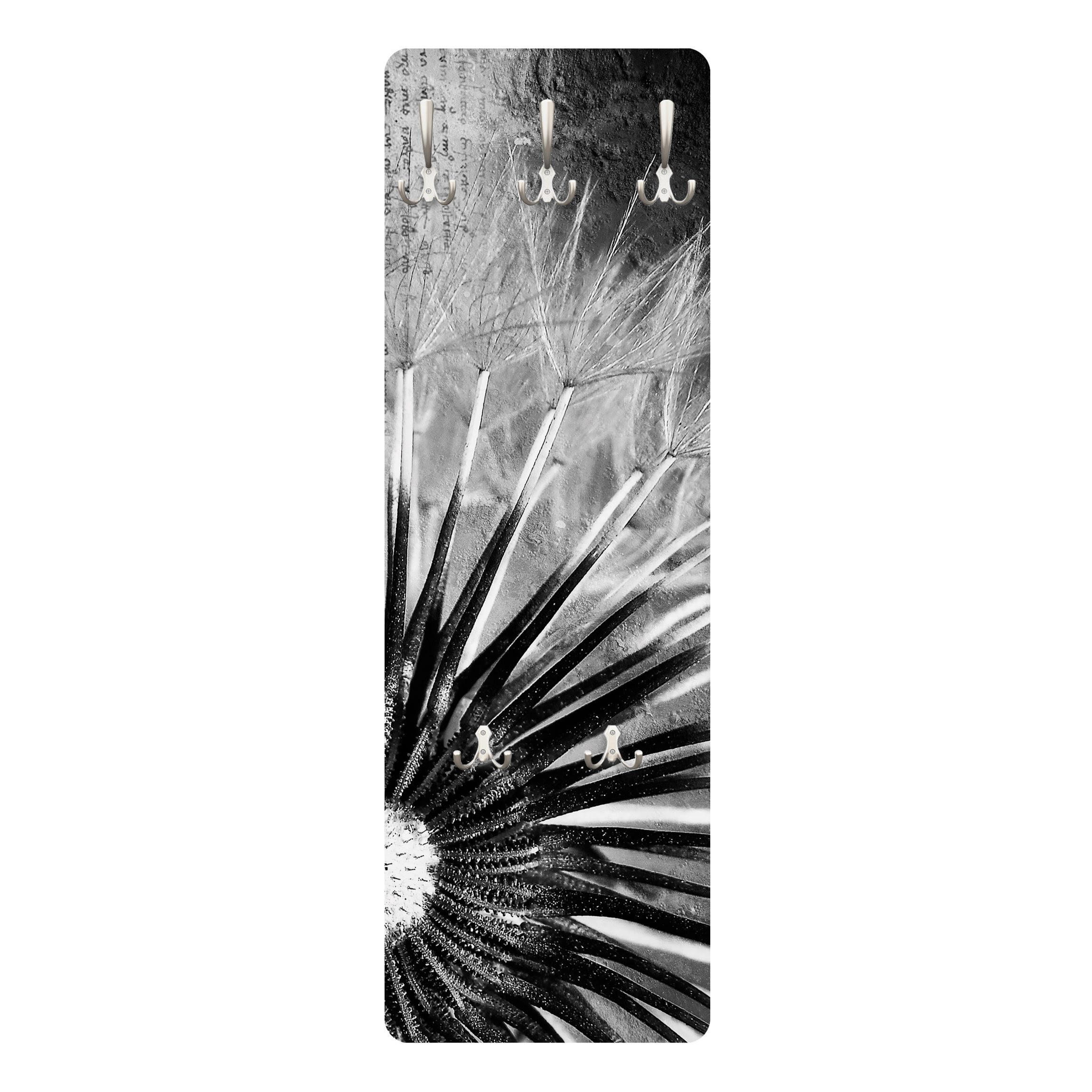 WANDGARDEROBE - Pusteblume Schwarz, Weiß 34/105 cm - Schwarz, Holzwerkstoff (34/105/1.6cm) - Bilderwelten