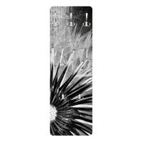 WANDGARDEROBE - Pusteblume Schwarz, Weiß 34/105 cm - Schwarz, Holzwerkstoff (34/105/1.6cm) - Bilderwelten