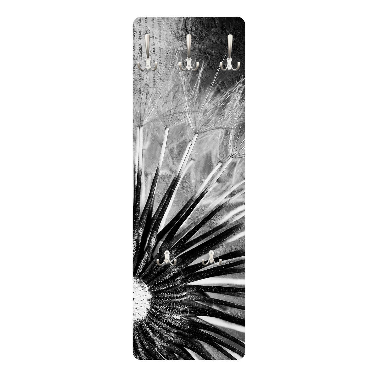 WANDGARDEROBE - Pusteblume Schwarz, Weiß 34/105 cm - Schwarz, Holzwerkstoff (34/105/1.6cm) - Bilderwelten