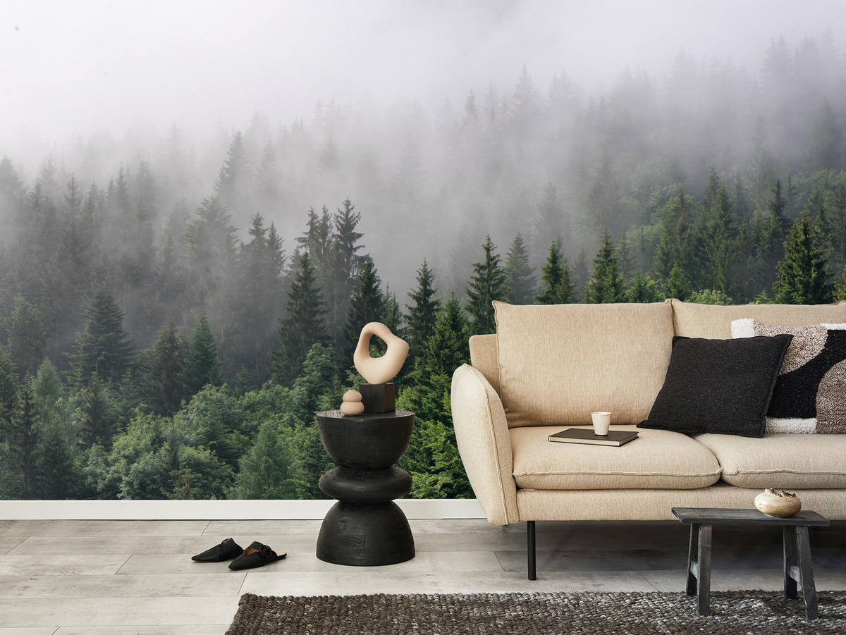 FOTOTAPETE für Wohnzimmer Nadelbäume Nebelwald Grün 200x140 - Grau/Grün, Papier (200/140cm) - Muralo