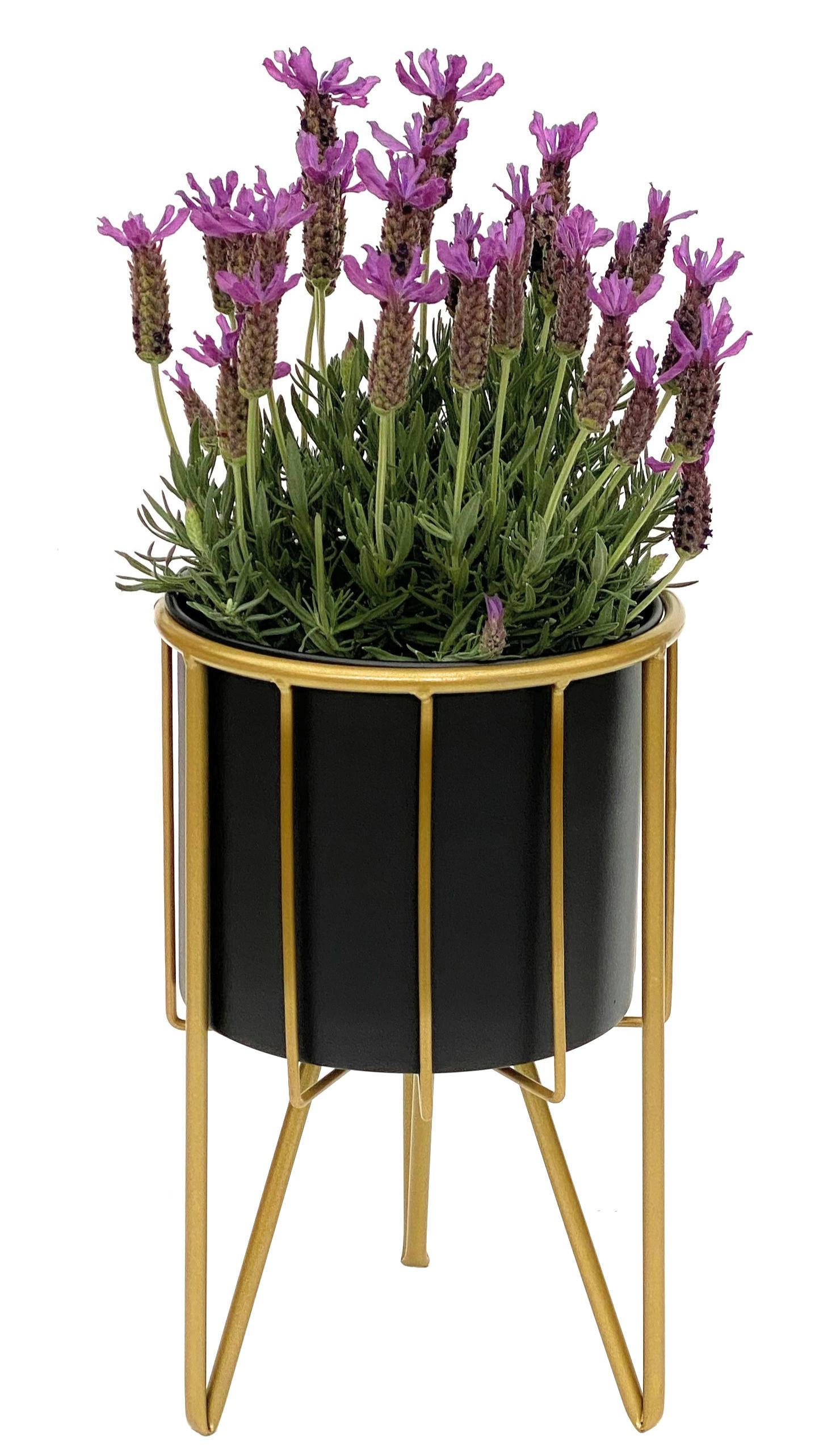 BLUMENHOCKER Rund mit Topf Metall Gold Schwarz 32 cm 96039 S - Goldfarben, Metall (19/32/19cm) - DanDiBo