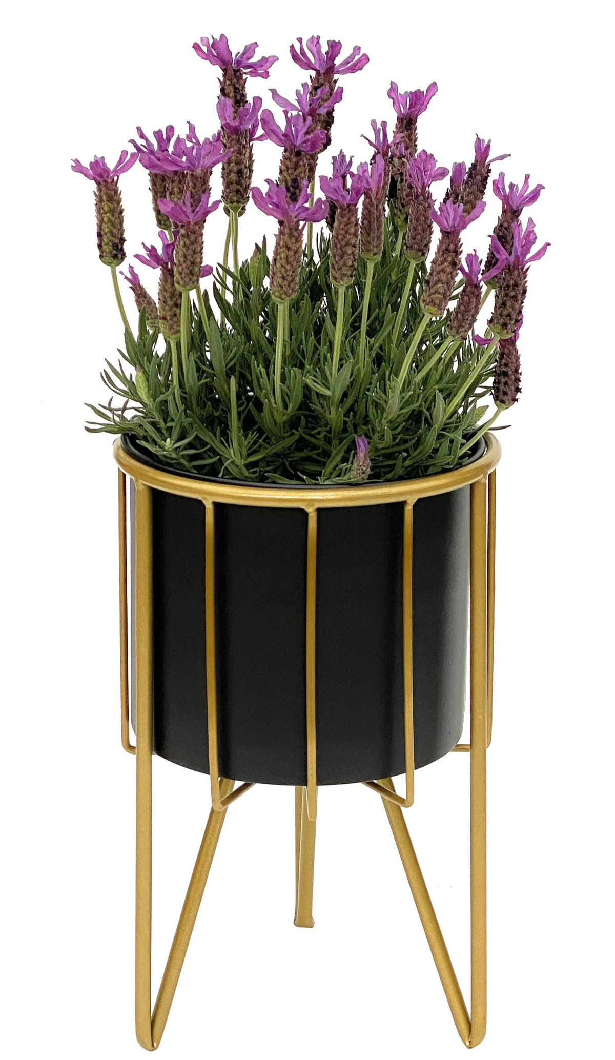 BLUMENHOCKER Rund mit Topf Metall Gold Schwarz 32 cm 96039 S - Goldfarben, Metall (19/32/19cm) - DanDiBo