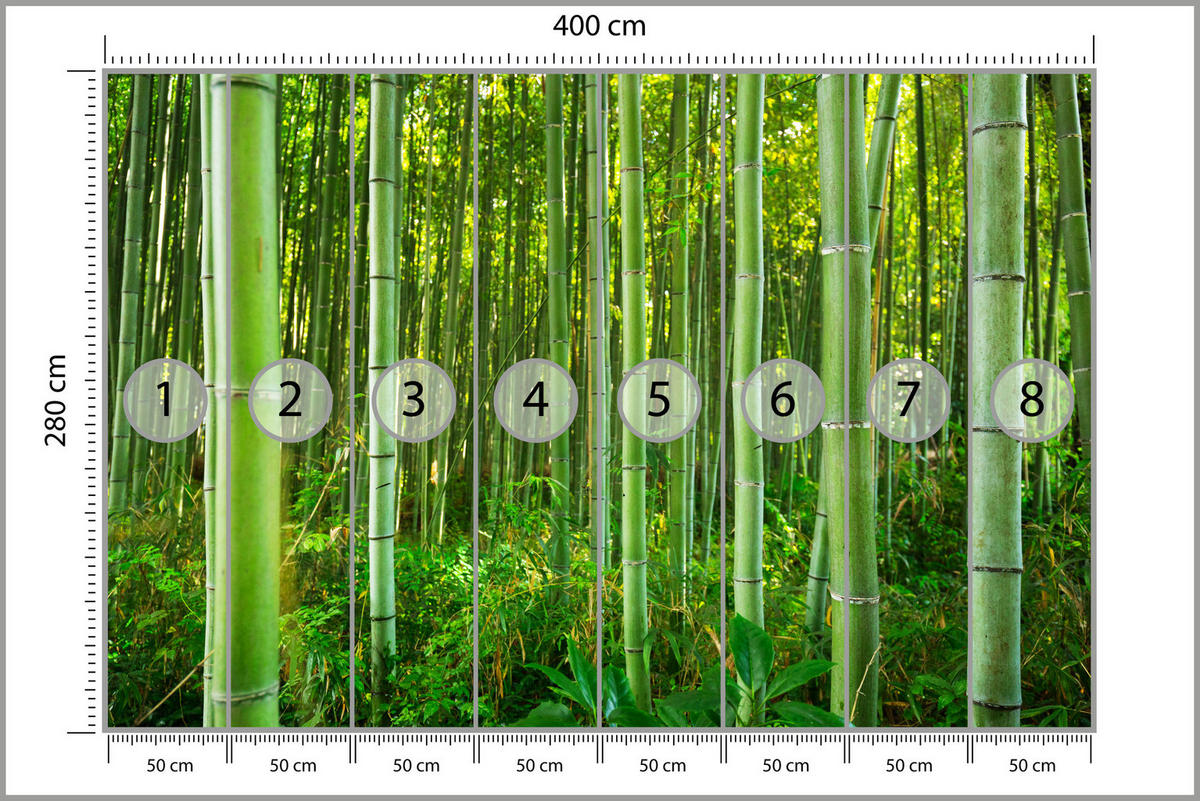 FOTOTAPETA Bambusový Les Rastliny Príroda 3D 400 x 280 cm - žltá/zelená, papier (400/280cm) - Muralo