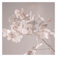 FOTOTAPETE Zarte weiße Hortensie 192/192 cm - Eichefarben, Papier (192/192cm) - Bilderwelten