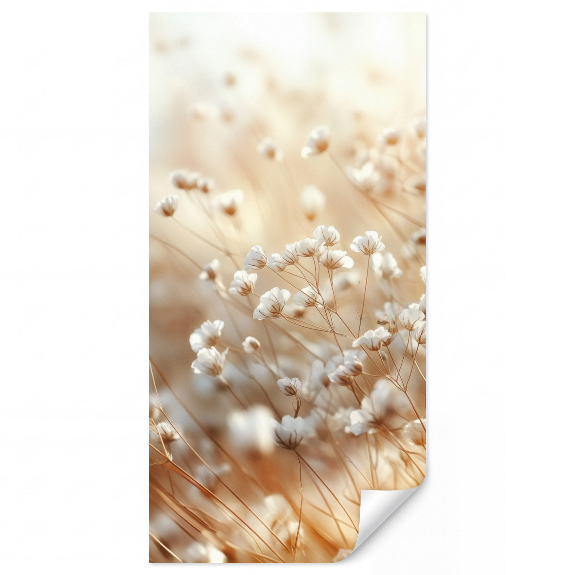OnlyWow Tapete Creme 100x220 cm