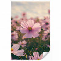 TAPETE - Blumen - Lila - Unscharf - 200x300 cm - Rosa, Papier (200/300cm) - OnlyWow