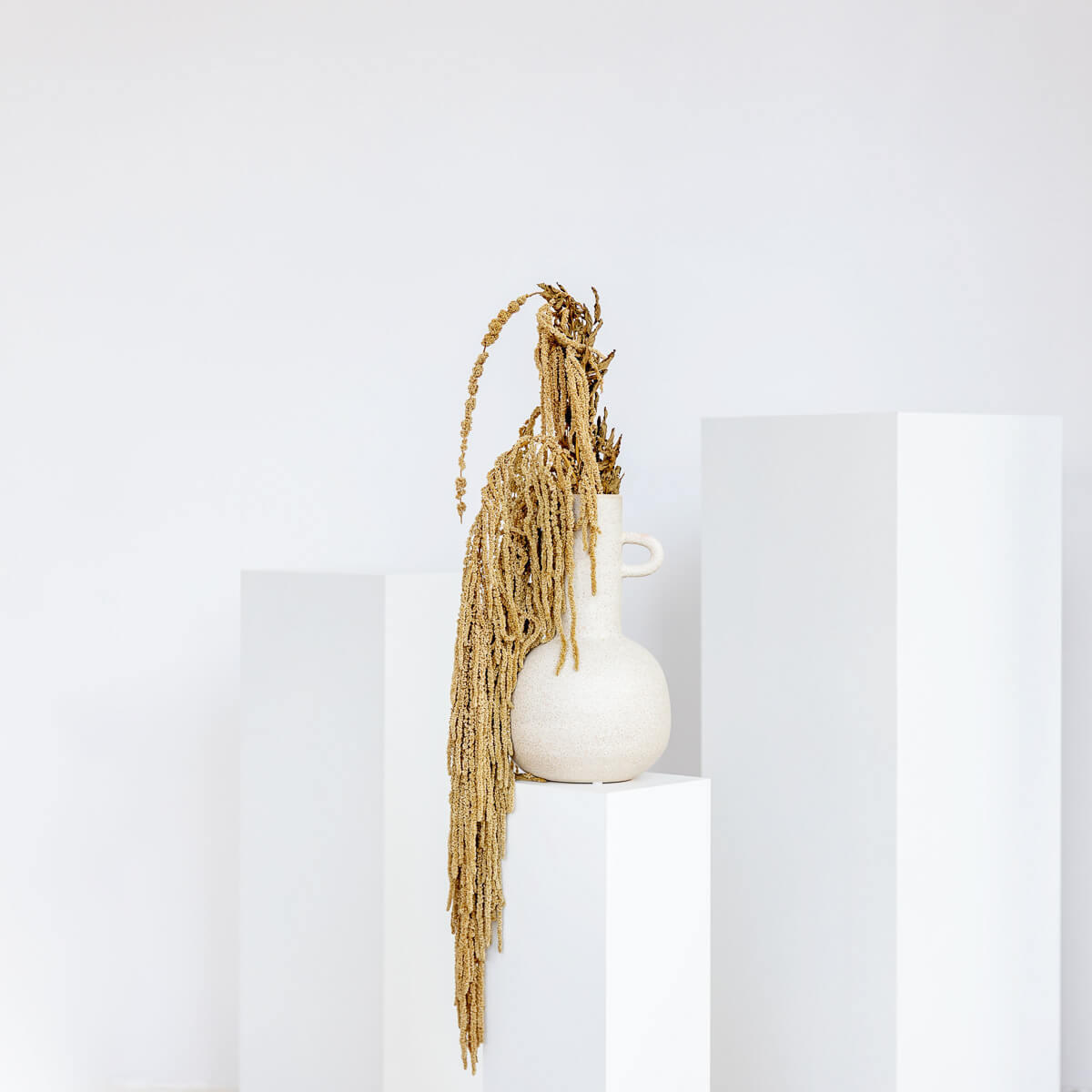 AMARANTHUS Stiele - curry / 30 cm - Currygelb, Naturmaterialien (30cm) - Lykke & You