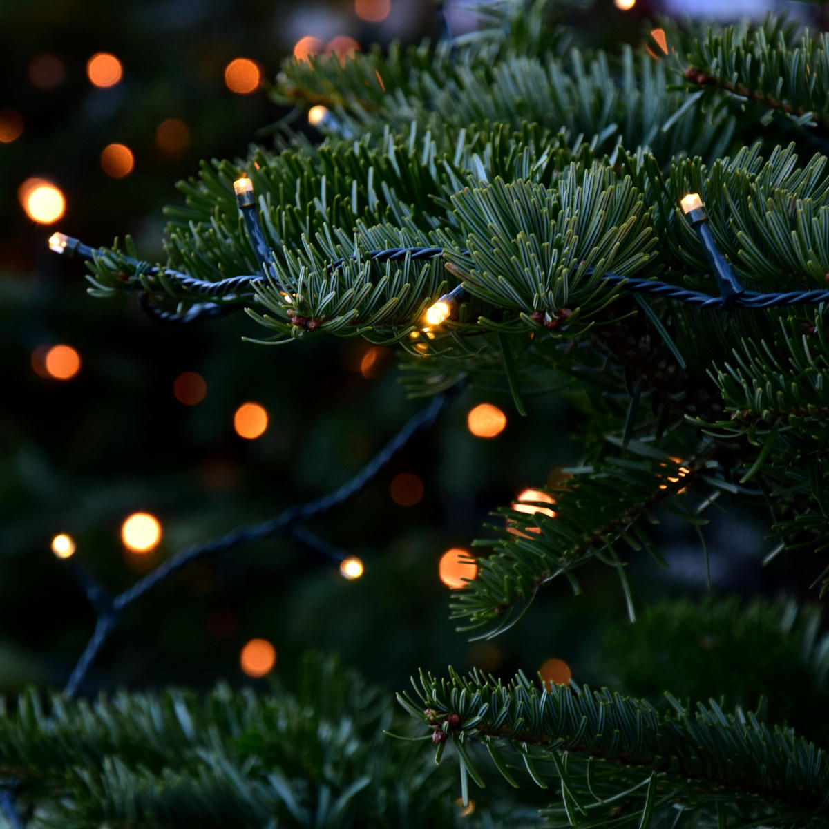 LED světelná řetězová girlanda Cluster pro venkovní i vnitřní použití, 15 m, vánoční osvětlení, 750 LED, teplá bílá - černá, plast (1800cm) - ECD-Germany