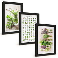 BILDER SET 3er Set - 20x30 cm Schwarzer Rahmen - Getrocknete Kräuter für die Küche - Schwarz, Kunststoff (20/30cm) - TULUP