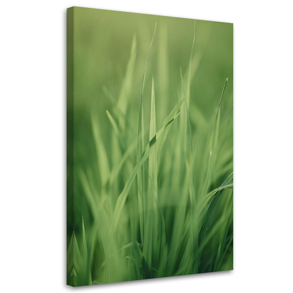 WANDBILD grashalm - Grün, Textil (40/60cm) - Feeby