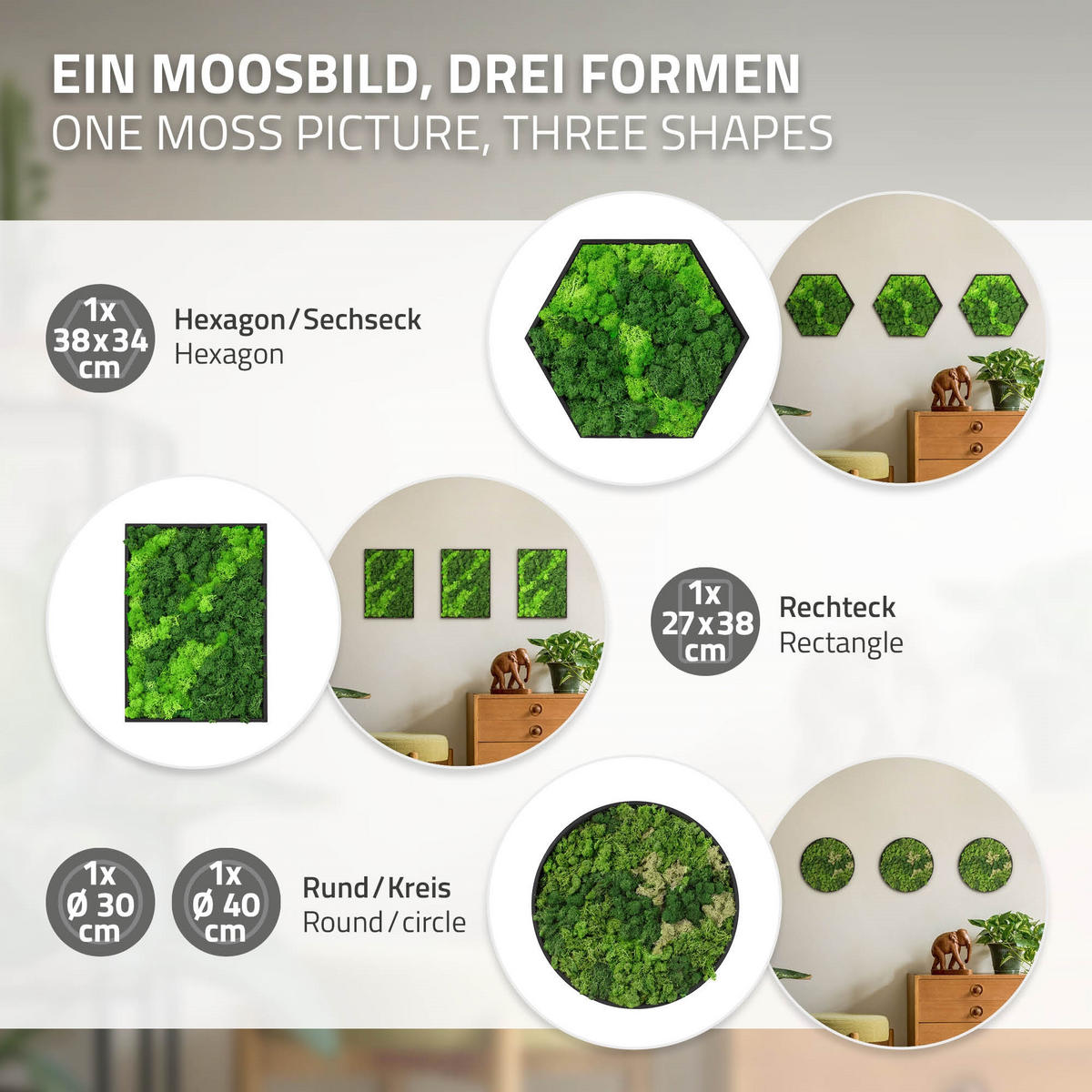 MOOSBILD Rechteck 38 x 27 cm Mooswand Indoor mit Echtem Islandmoos und Holzrahmen Grün Pflegefrei - Hellgrün, Naturmaterialien (27/38/3.5cm) - ECD-Germany