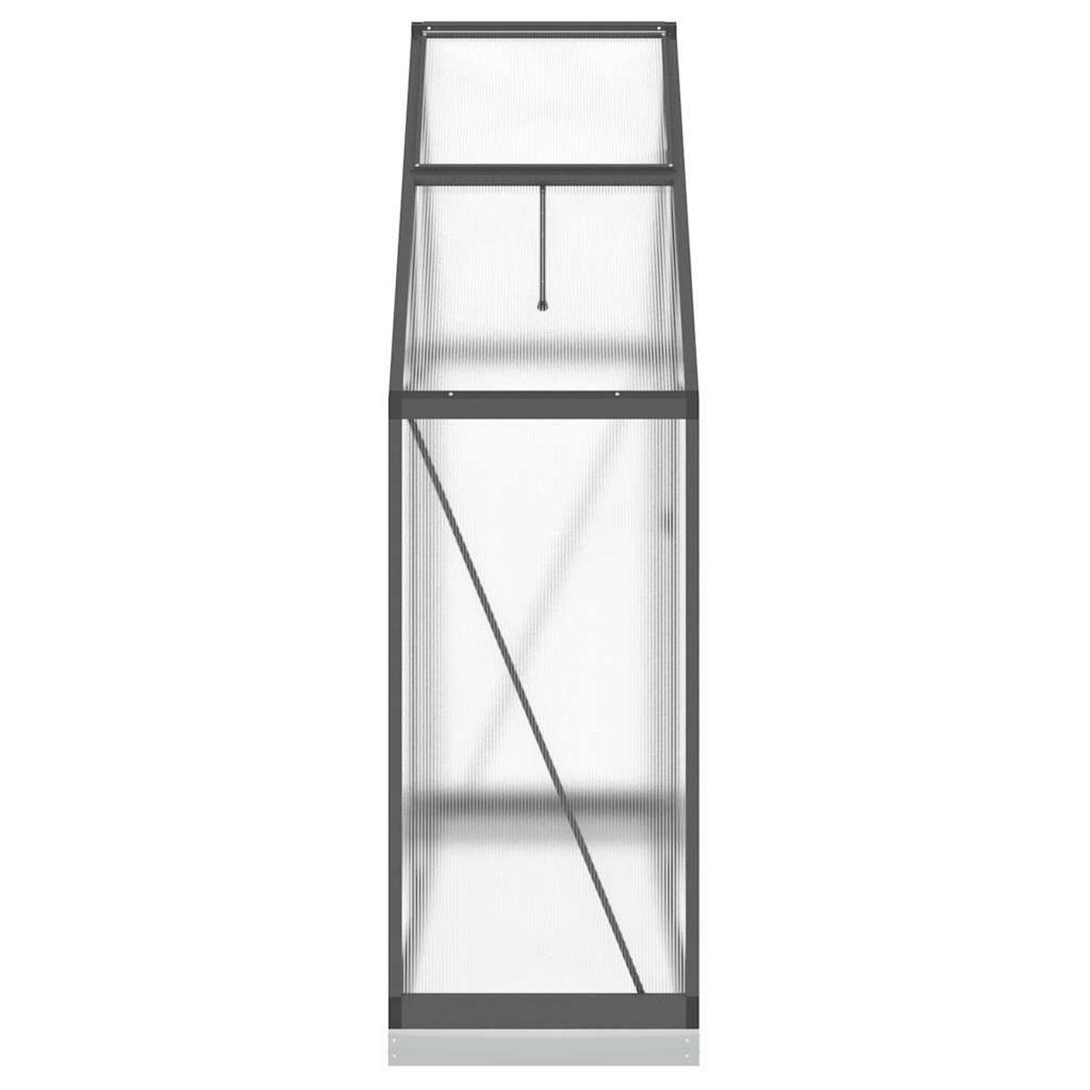 GEWÄCHSHAUS Mit Fundamentrahmen Anthrazit 169/58/202 Cm Alu - Anthrazit, Metall (169/202/58cm) - vidaXL