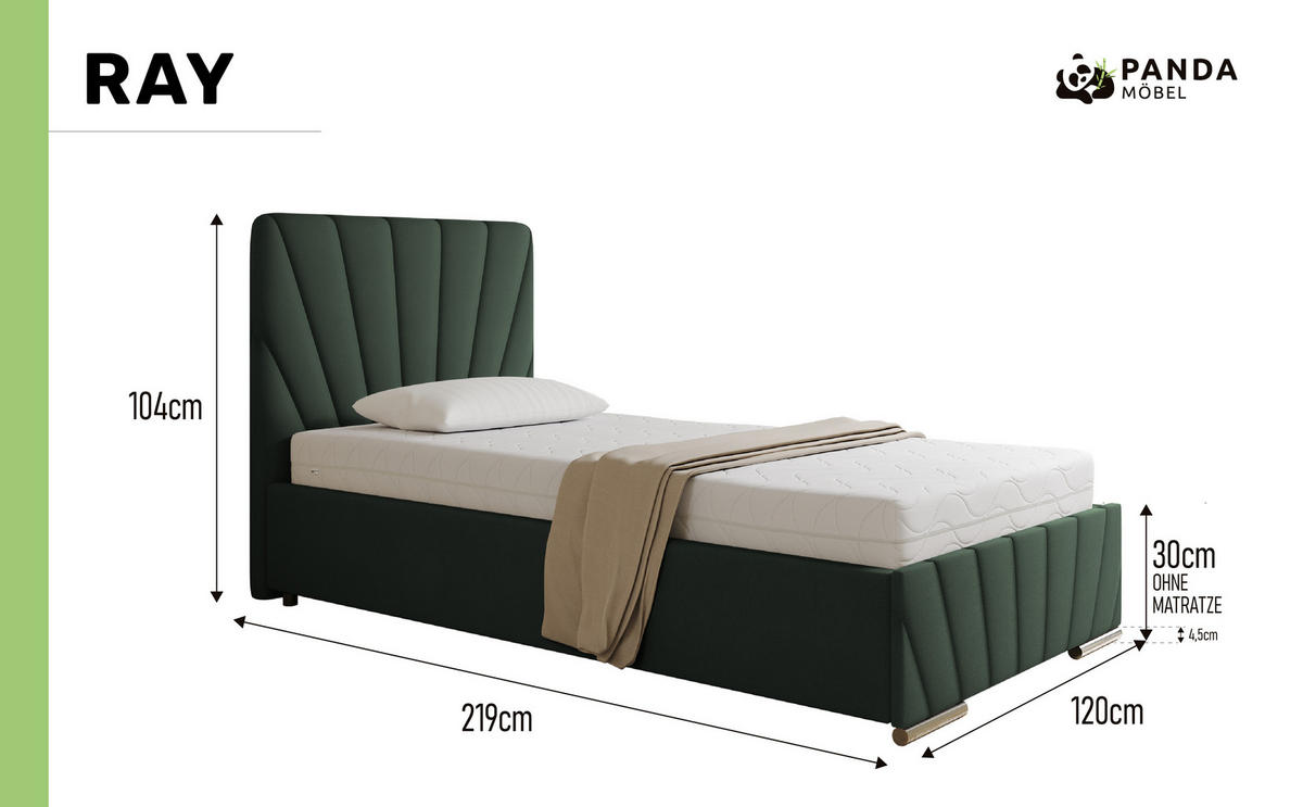 POLSTERBETT Ray 100 x 200 cm mit Bettkasten und Lattenrost taschenfederkernmatratze 19cm- grün - Grün, Holz (100/200cm) - Panda Möbel