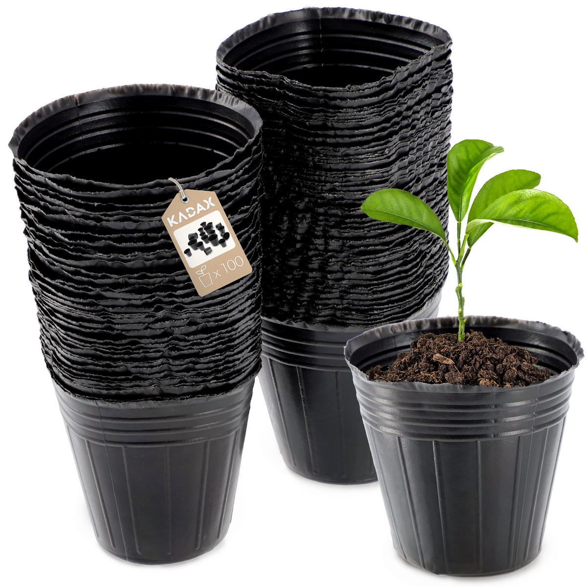 SAMENTOPF, rund, 7 cm, 100 Stück - Schwarz, Kunststoff - KADAX