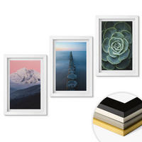 WANDBILDER 3er-Set - 20x30 cm Weißer Rahmen - Berge, rosa Himmel, Wasser, Sukkulente - Weiß, Kunststoff (20/30cm) - ArtPrintCave