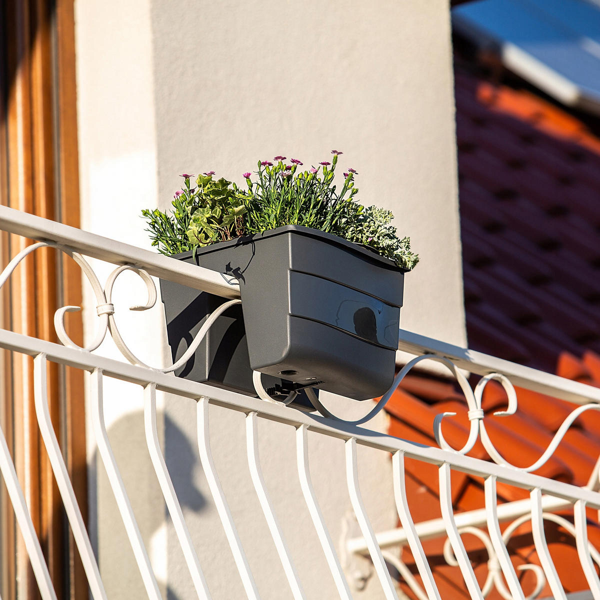 BALUSTRADENKASTEN 30 cm, Graphit - Graphitfarben, Kunststoff (28/30cm) - KADAX