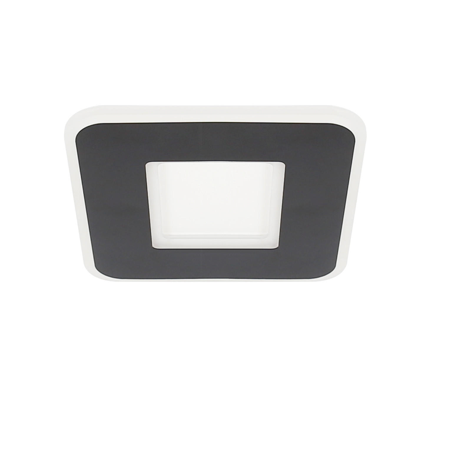 LED-DECKENLEUCHTE Gunther 24 cm - Schwarz, Metall (24/24/4cm) - Nettlife