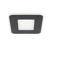 LED-DECKENLEUCHTE Gunther 24 cm - Schwarz, Metall (24/24/4cm) - Nettlife