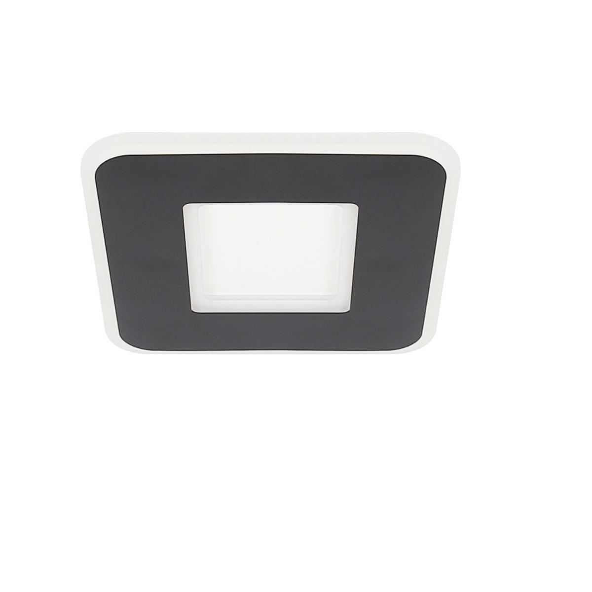 LED-DECKENLEUCHTE Gunther 24 cm - Schwarz, Metall (24/24/4cm) - Nettlife