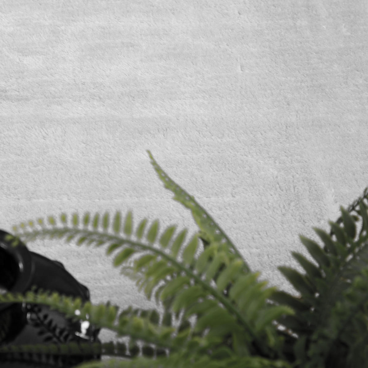 KURZFLORTEPPICH 200/200 cm Cadiz 630 - Silberfarben, Textil (200/200cm) - Paco Home