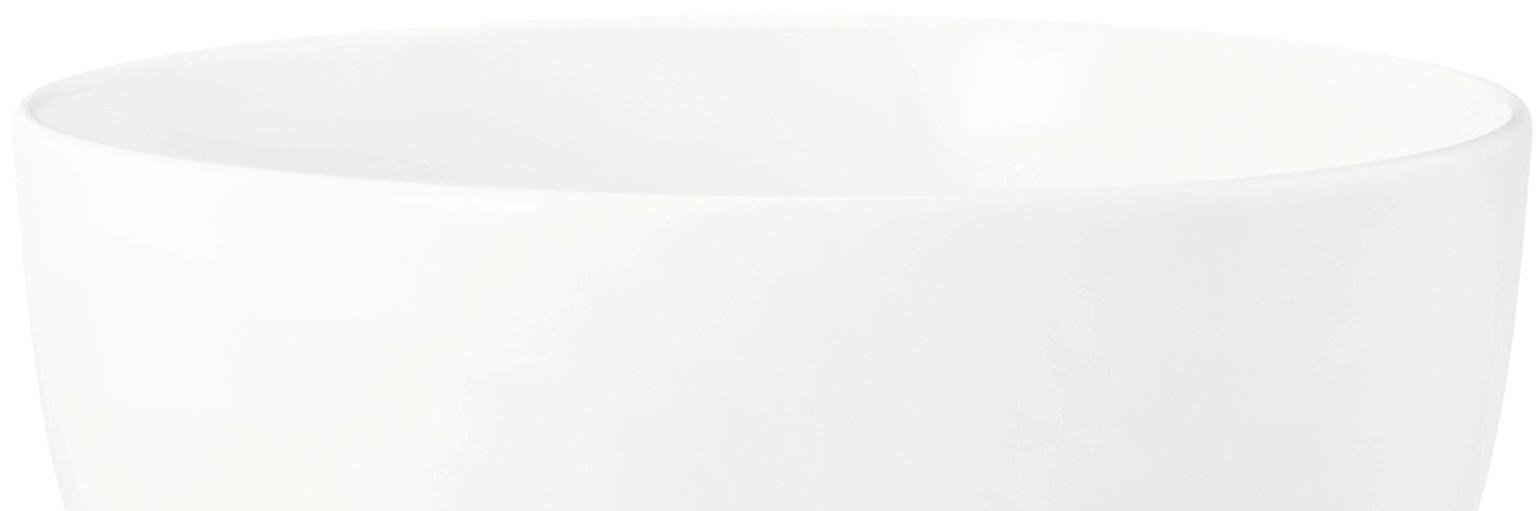 Seltmann Weiden Liberty White