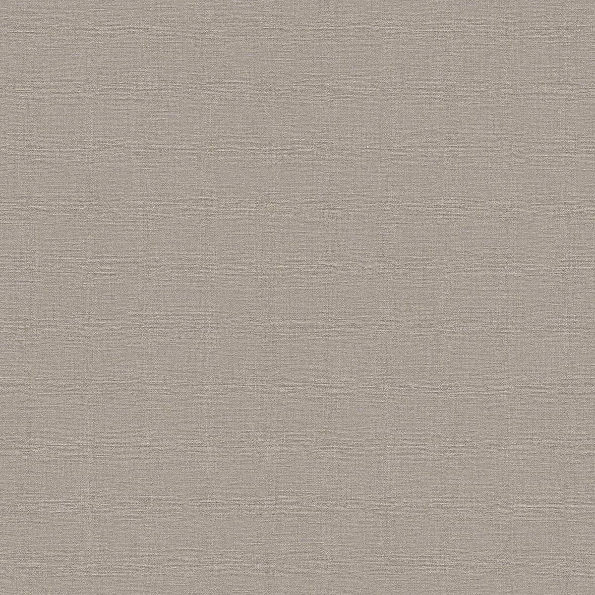 VLIESTAPETE Braun 53/1005 cm - Braun, Kunststoff/Textil (53/1cm) - KUNSTLOFT